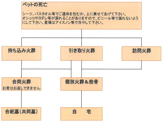 ペット火葬についての流れ