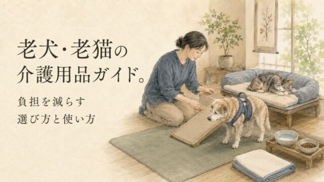老犬・老猫の介護用品ガイド。負担を減らす選び方と使い方