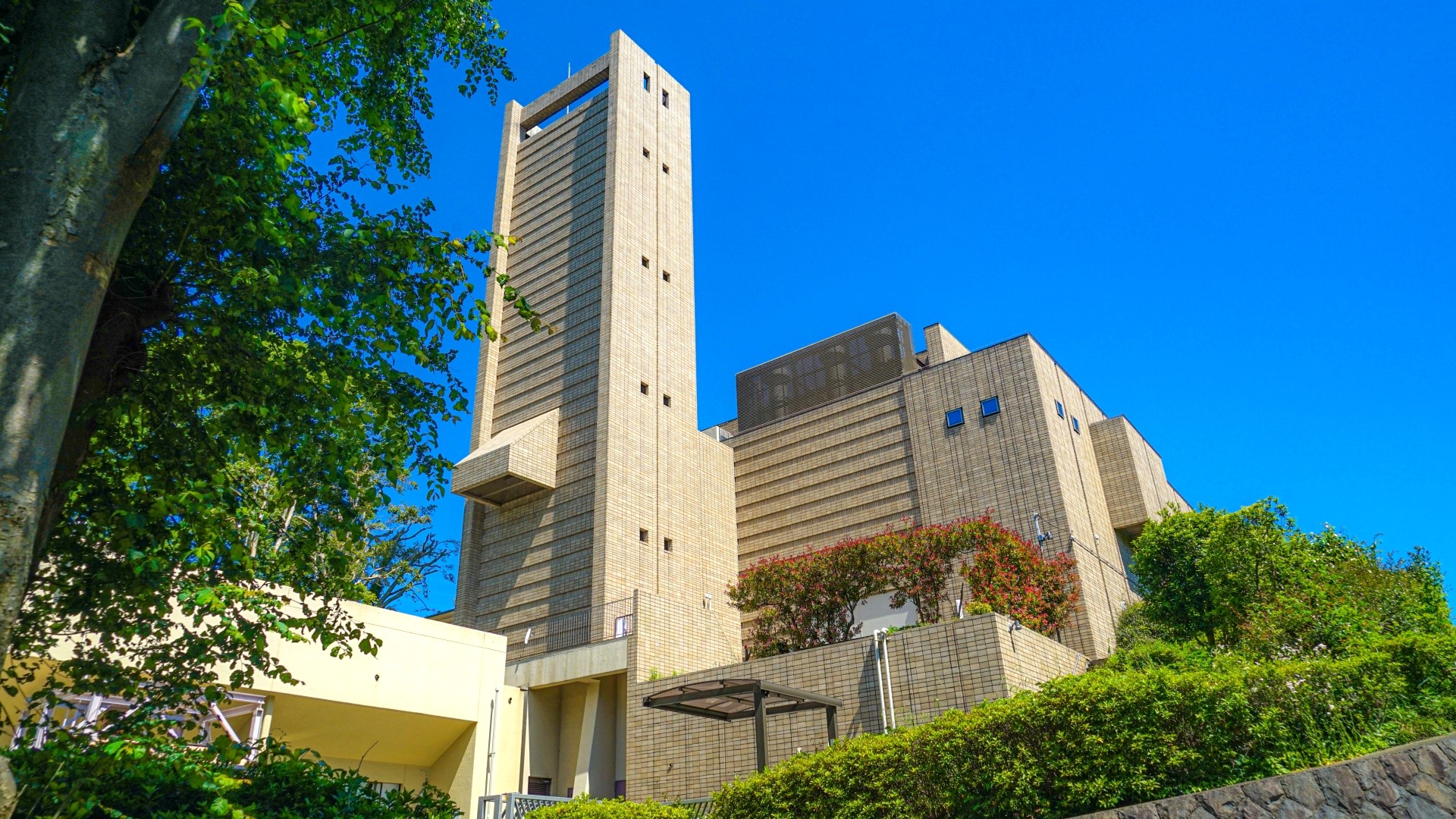ペット火葬の費用相場。種類ごとの料金と後悔しない選び方