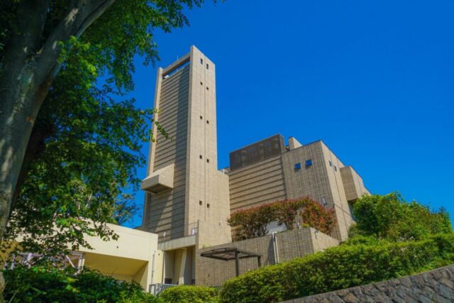 合同火葬と個別火葬はどう違う?ペット火葬の種類と後悔しない選び方