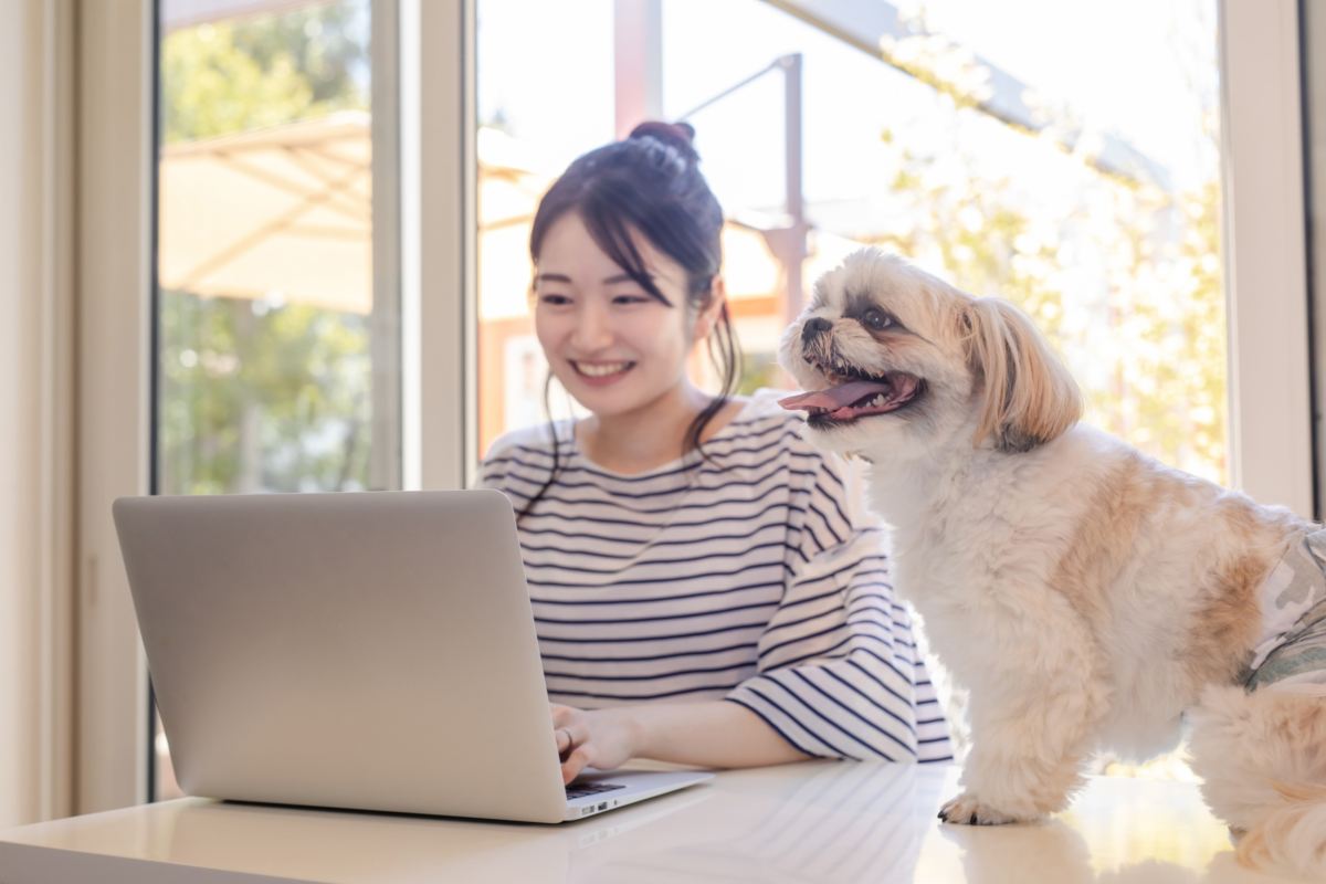 ペットの介護と仕事の両立。そばにいたい気持ちと、現実のあいだで